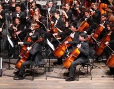Descubre la magia de William Tell en Suiza: Asistiendo a una representación inolvidable del clásico histórico 51