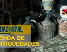 Descubre los tesoros ocultos: Cómo encontrar antigüedades en el famoso Mercado de Antigüedades de Berna