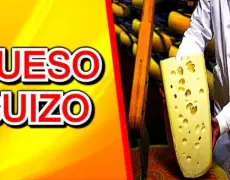 Descubre el auténtico sabor del Emmental: el queso suizo más delicioso