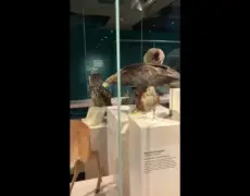 Descubre la fascinante historia de Basilea: Explorando el Museo Histórico