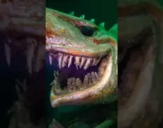 Descubre la belleza del Lago de Neuchâtel: el tesoro oculto de Suiza