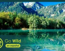 Descubre la belleza de los Lagos Alpinos: Explorando los paisajes más impresionantes del mundo