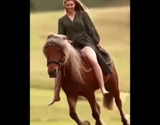 Descubre la emocionante experiencia de montar a caballo en las impresionantes montañas suizas