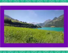 Descubre la magia de la pesca en los impresionantes ríos y lagos de Suiza: Guía completa