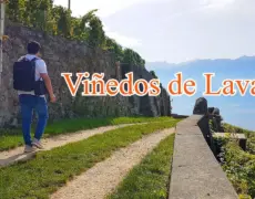 Descubre la experiencia única de tomar vino suizo en los impresionantes viñedos de Lavaux