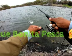 Descubre todo sobre la deliciosa Trucha del Lago: origen, beneficios y recetas imperdibles