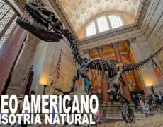 Descubre la fascinante historia de Berna en el Museo de Historia Natural: ¡Una experiencia imperdible!