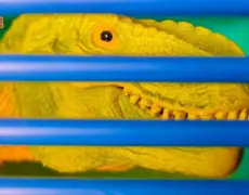 Descubre los secretos del Parque de Dinosaurios en Aathal: Una experiencia única para conocer a estas criaturas prehistóricas