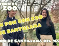 Descubre cómo disfrutar de un día inolvidable en el Parque de Diversión Knies Kinderzoo