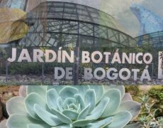 Descubre la belleza natural de Berna: Explorando el Jardín Botánico