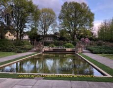 Descubre la belleza del Rosengarten de Berna: Paseos y vistas panorámicas impresionantes